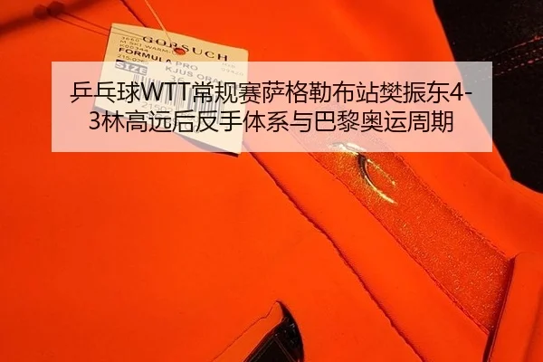 ping-pang-qiu-chang-gui-sai-sa-ge-lei-bu-zhan-fan-zhen-dong-lin-gao-yuan-hou-fan-shou-ti-xi-yu-ba-li-ao-yun-zhou-qi-1-497.jpg
